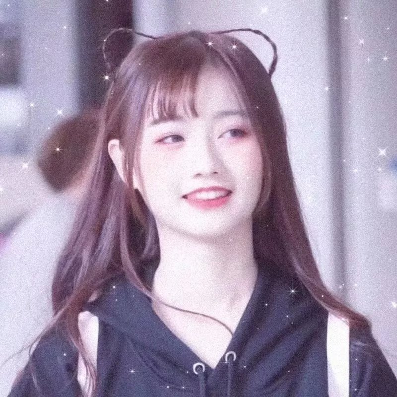 续·社长漫游记